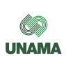 UNAMA